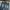 Buckaroo Vintage Jeans Pria navy photo 4