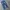 Levi's Casual Jeans Pria navy photo 4