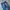 Levi's Casual Jeans Pria navy photo 5