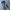 Levi's Casual Jeans Pria navy photo 1
