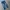 Levi's Casual Jeans Pria Navy