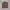 Casual Harrington jacket Pria multicolor photo 3