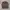 Casual Harrington Jacket Pria Multicolor