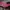 New Balance Sportswear Platform Wanita pink black photo 4