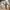 Crocs Streetwear Casual Sandals & slide Wanita white tan photo 2