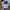 Nike Sportswear Casual Sneakers Wanita white navy photo 2