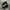 Salomon Gorpcore Sneakers Pria silver black photo 2