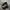 Salomon Gorpcore Sneakers Pria Silver Black