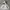 Vintage Streetwear Hoody Pria gray photo 1