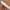 Japanese brand Vintage Y2K Belt Pria white photo 5