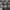 Chrome Hearts Streetwear Y2K Casual shirt Pria multicolor photo 5