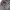 Chrome Hearts Streetwear Y2K Casual shirt Pria multicolor photo 2