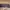 Tommy Hilfiger Minimalist Casual Belt Pria brown photo 5