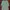 Hanes Casual T-shirt Pria green photo 2
