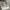 Coquette Minimalist Handbag Wanita white khaki photo 1