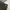 Streetwear Boxer Pria multicolor photo 5