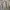 Crocodile Streetwear Casual Puffer Jacket Pria Tan