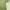 Nike Sportswear Casual Polo shirt Pria green photo 5