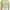Nike Sportswear Casual Polo shirt Pria green photo 2