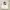 The North Face Sportswear Casual T-shirt Pria white photo 1