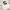 The North Face Sportswear Casual T-shirt Pria white photo 6