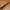 Levi's Minimalist Casual Belt Pria brown photo 4