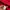Dickies Streetwear Hoody Pria red photo 8