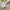 Nike Streetwear Sportswear T-shirt Pria cream photo 8