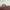 Vintage Luxury Bags & purse Wanita brown photo 7