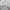 Russell Athletic Streetwear Sportswear Hoody Pria White