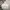 Russell Athletic Streetwear Sportswear Hoody Pria White