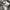 Carhartt Streetwear Sportswear Sweatshirt Pria gray photo 8
