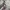 VANS Streetwear Sportswear Sweatshirt Pria brown photo 5