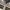 VANS Streetwear Sportswear Sweatshirt Pria brown photo 6