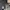 VANS Streetwear Sneakers Wanita gray photo 2
