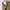 Dickies Vintage Y2K Casual pants Pria khaki tan photo 6