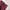Dickies Vintage Y2K Casual Pants Pria Burgundy
