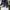 Converse Streetwear Sneakers Pria navy photo 2