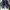 Converse Streetwear Sneakers Pria Navy