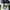 Converse Streetwear Sneakers Pria navy photo 4