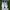 Keds Streetwear Sneakers Wanita white photo 1