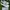 Keds Streetwear Sneakers Wanita white photo 3