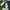 Keds Streetwear Sneakers Wanita white photo 2
