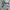 Japanese brand Vintage Luxury T-shirt Pria gray photo 2