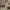 Vintage Minimalist Harrington jacket Pria tan photo 7