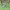 Nike Streetwear Hoody Pria Green