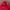 NII Vintage Minimalist Harrington jacket Pria red photo 2