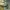 Nike Y2K Sneakers Pria green gray photo 2