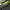 Nike Y2K Sneakers Pria green gray photo 3