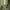 Nike Y2K Sneakers Pria green gray photo 4